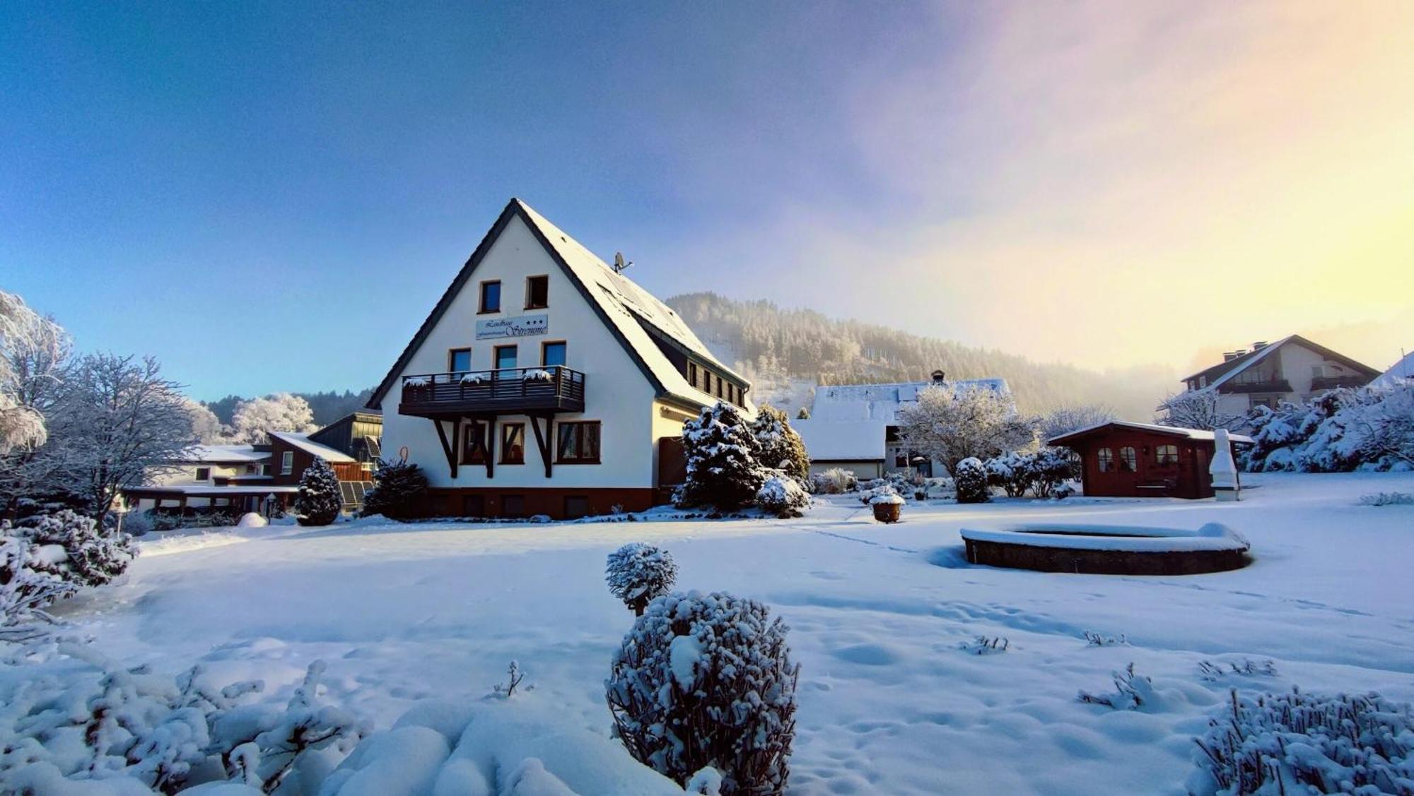 Landhaus Stremme Willingen  Exterior photo